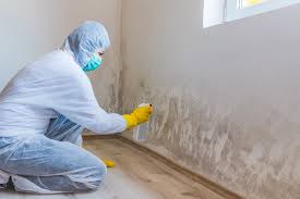 Mold Odor Removal Services in Rosewood Heights, IL